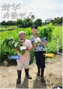 橘子工坊